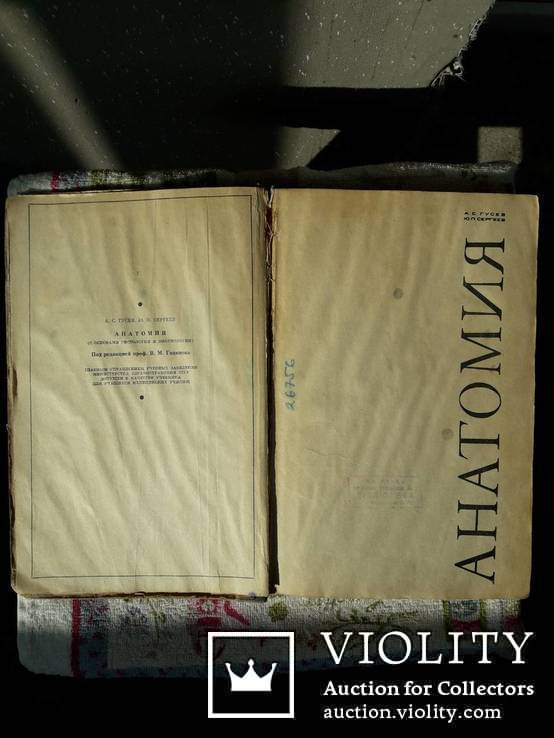 Анатомия (с основами гистологии и эмбриологии) под ред.проф.В.М.Годинова, фото №3