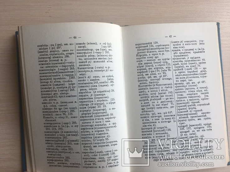 І. Огієнко Словник українських не літературних слів, фото №5