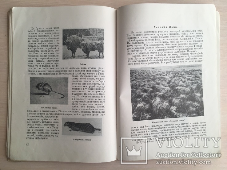 1952 Україна Земля моїх батьків, фото №9