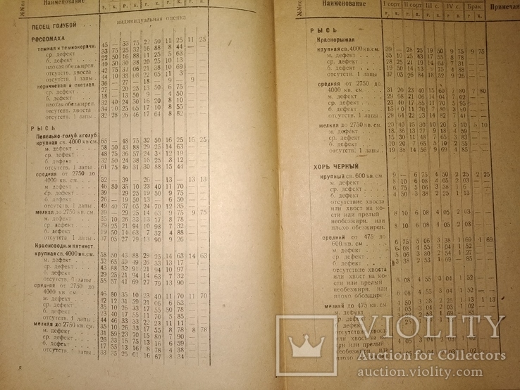 1933 каталог прейскурант Пушнина и Мехсырье ( кошки , собаки), фото №6