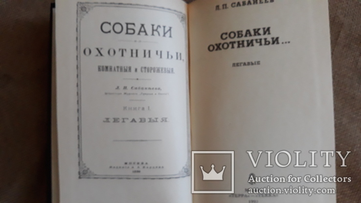 Охота. Охотничьи собаки. Легавые. Сабанеев., фото №4