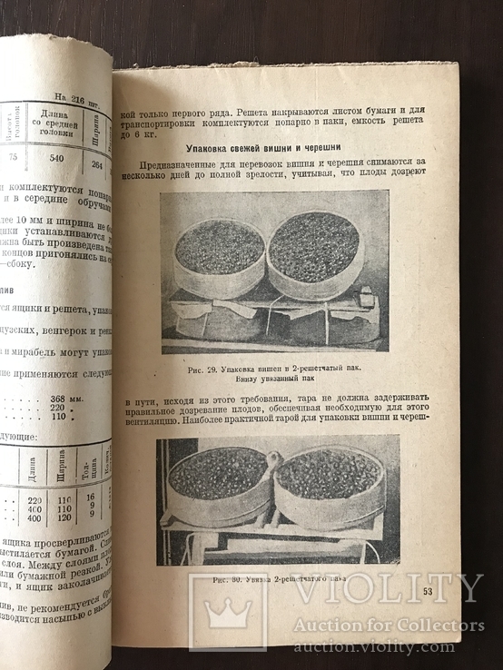 1932 Овощная тара как паковать Вишню, Черешню, фото №2