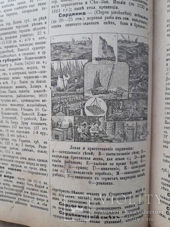 1907 г. Настольная энциклопедия "Вестник знания", фото №10