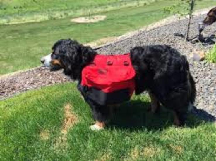 Новая сумка-рюкзак на спину собаке Wenaha USA, фото №13