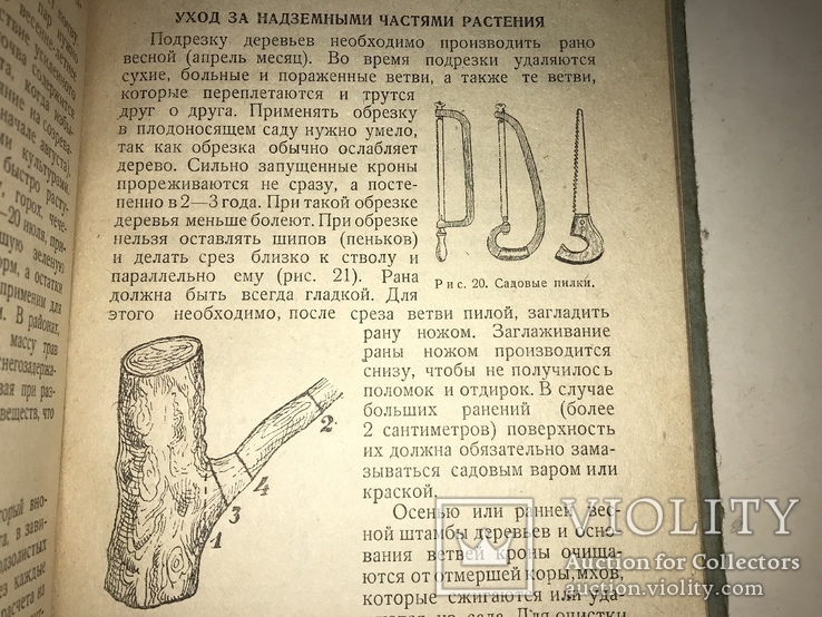 1936 Плодово-ягодный Сад в Красноярском крае, фото №7