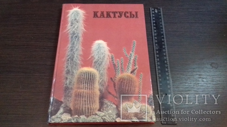 Кактусы. Киев 1982 год, фото №2