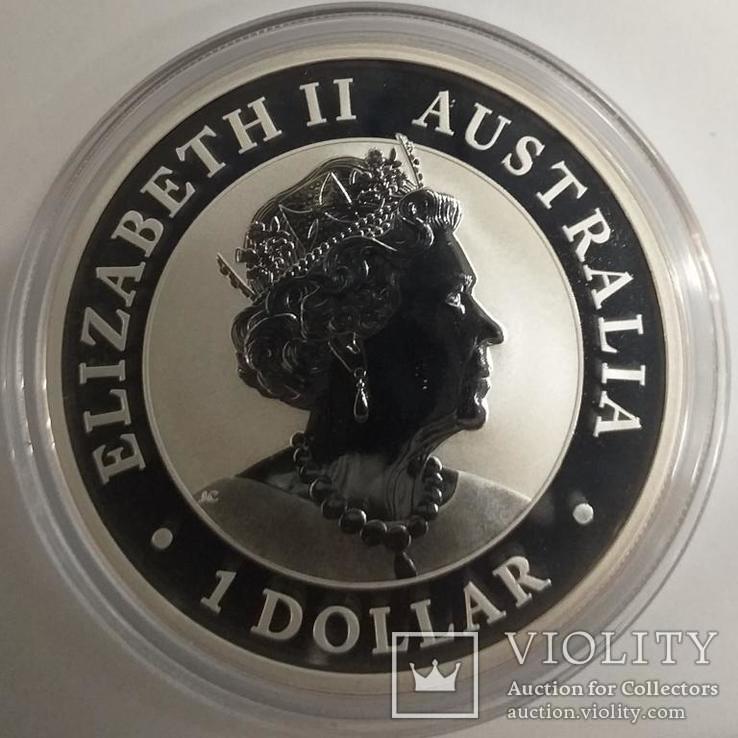 2019 г - 1 доллар Австралии,Коала,унция серебра,в капсуле, фото №3