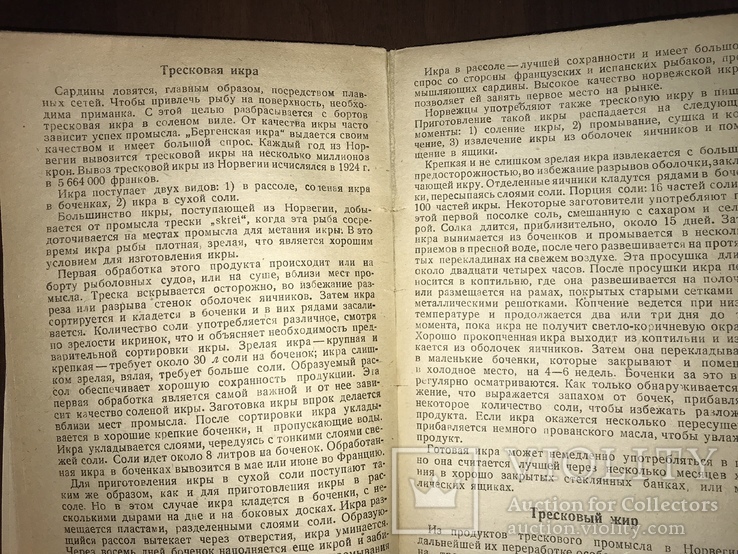 1932 Морские рыбные промыслы Норвегии, фото №7