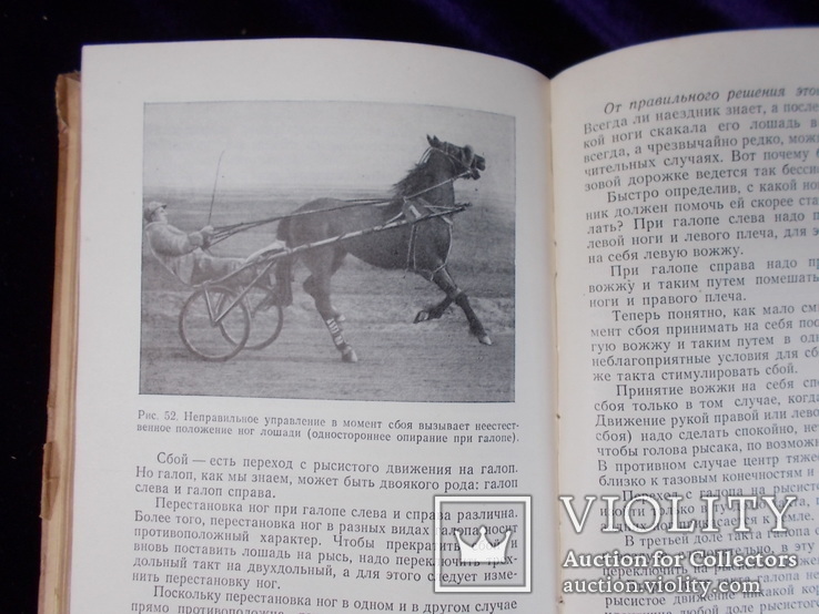 1955г. Тренировки  лошади., фото №8