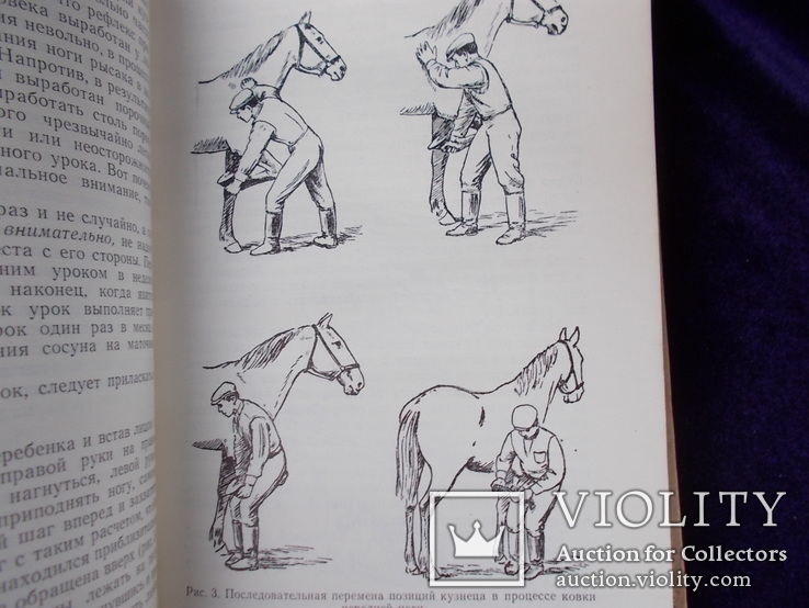 1955г. Тренировки  лошади., фото №9