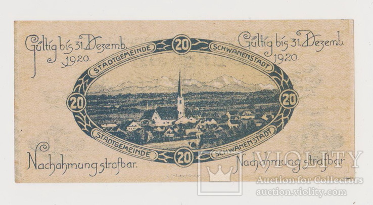 Австрия ,Schwanenstadt,20 геллеров, 31 декабря 1920 года, фото №3