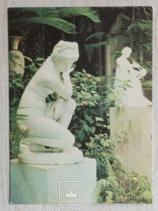 Алупка. У зимовому саду палацу-музею. 1968 р., фото №2
