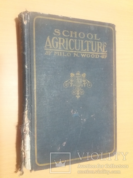 1928 год School agriculture(школа сельского хозяйства), фото №3