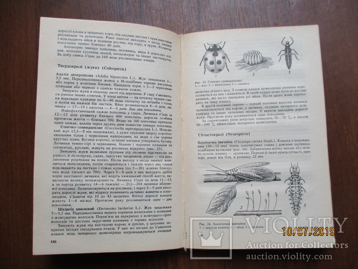 Довідник по захисту садів від шкідників і хворобю1990.258с, фото №4