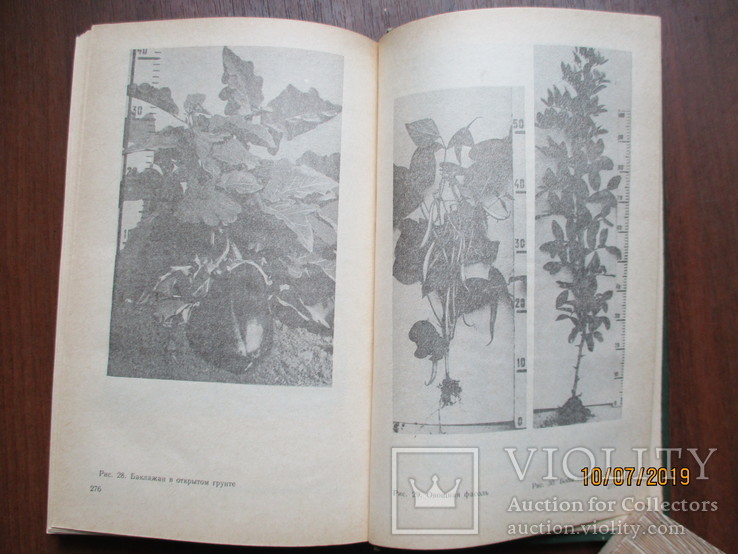 Настольная книга овощевода.1989.288с., фото №6