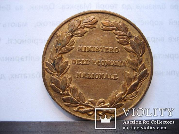 Старовинна бронзова медаль- 18, фото №7