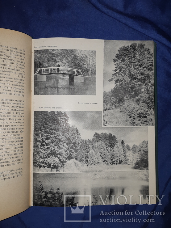 1960 Визначні сади і парки України - 4500 экз., фото №8