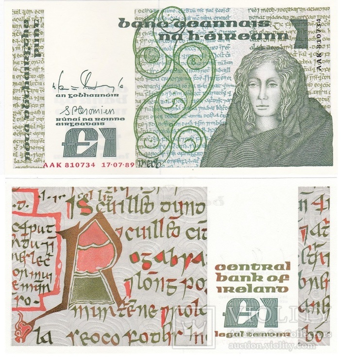 Ireland Ирландия - 1 Pound 1989 aUNC JavirNV