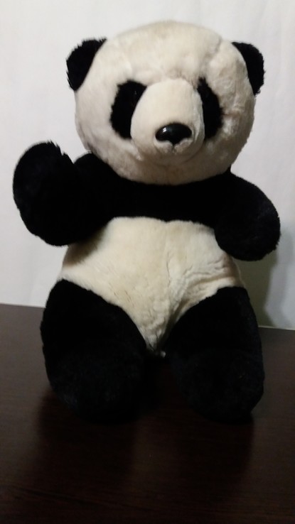 Панда, numer zdjęcia 2
