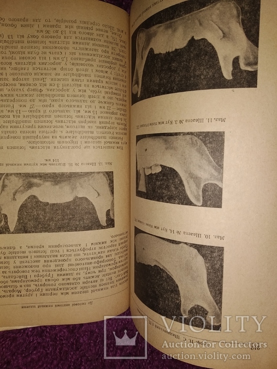 1939 Киев ский стоматологический институт. Працi. Тираж 400 экз, фото №9