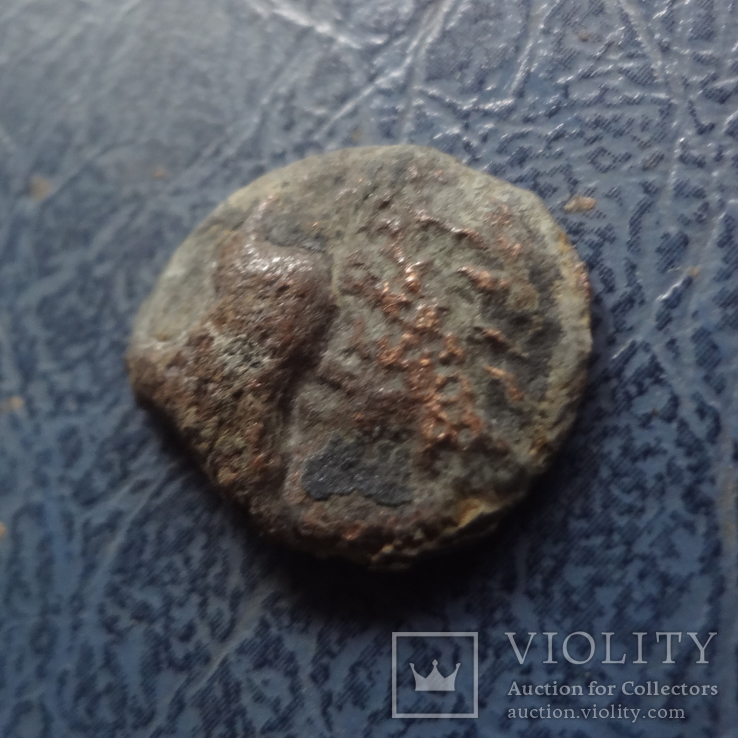 Монета  Ольвии    ($9.1.29)~, фото №4