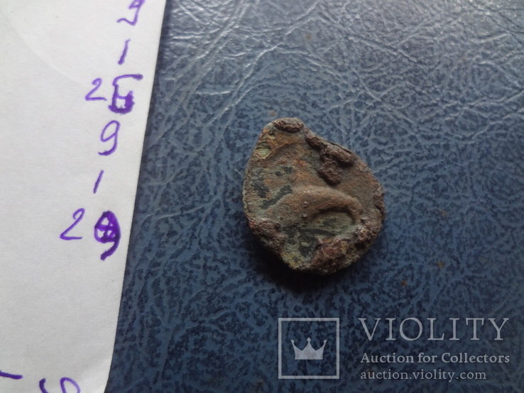 Монета  Ольвии    ($9.1.29)~, фото №5