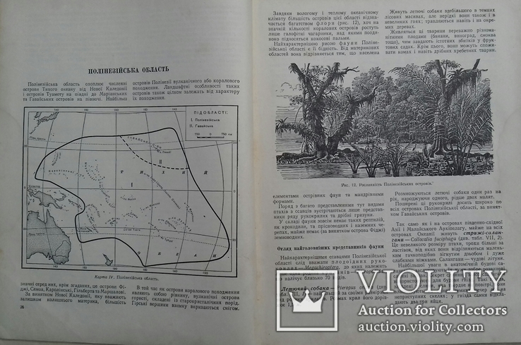 ПОСІБНИК З ЗООГЕОГРАФІЇ 1956р., фото №6