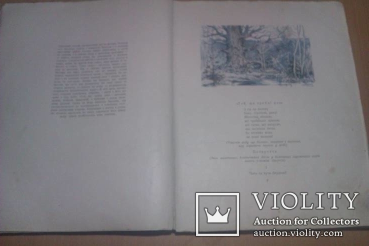 Леся Українка "Лісова пісня" 50 год держлітвидав иллюстрации Деригуса, фото №8