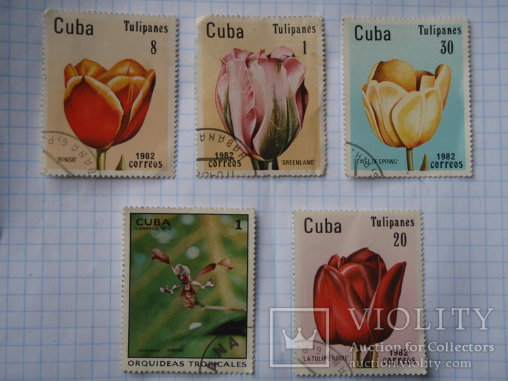5 великих марок Куби., фото №2