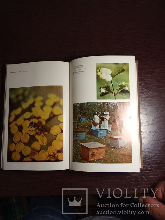 Книги Пчеловодство и журналы, фото №7