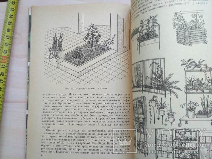 Декоративное садоводство 1982р., фото №7