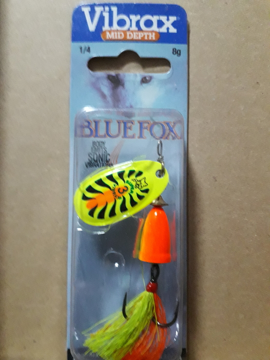 Blue fox 3.1