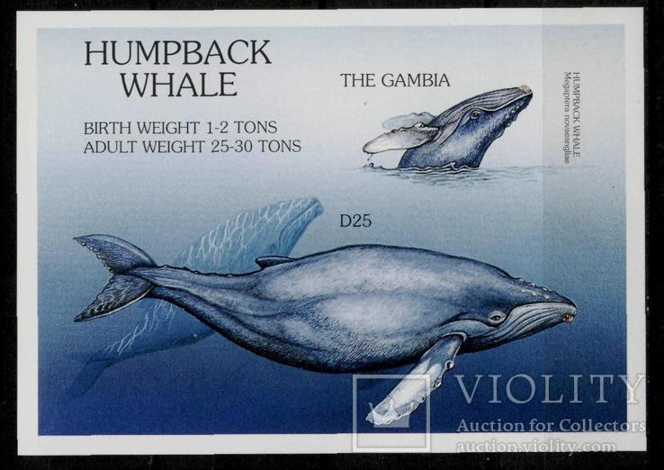 Гамбія 1997 ** кити блок б/з