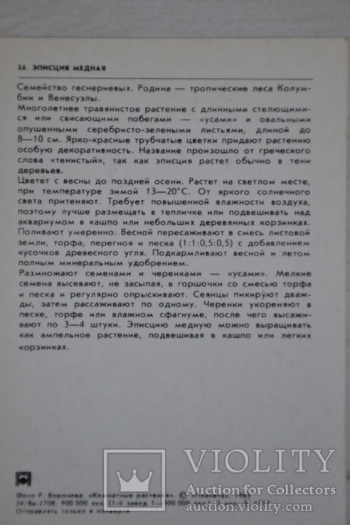  НАБІР ЛИСТІВОК Воронов 1983 КІМНАТНІ РОСЛИНИ 25 шт флора, фото №3