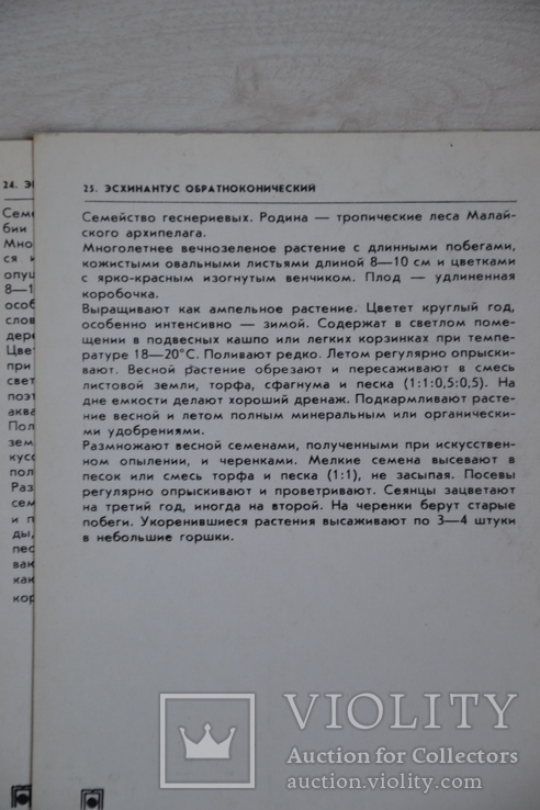  НАБІР ЛИСТІВОК Воронов 1983 КІМНАТНІ РОСЛИНИ 25 шт флора, фото №11