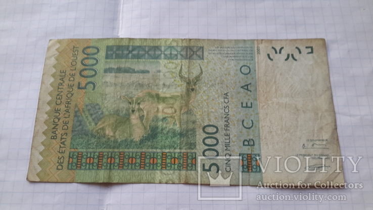 5000 франков КФА 2003 года., фото №3