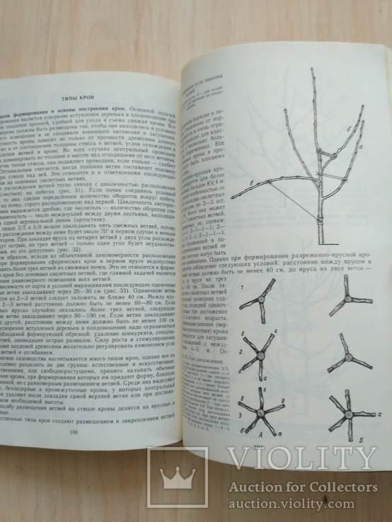 Справочник садовода 1985р., фото №11