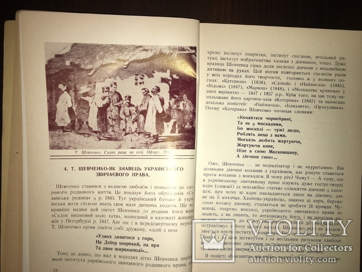 Українська книга Т. Шевченко В. Доманицький, фото №7