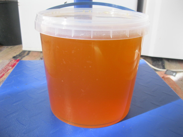 Мёд 4.5 кг. Разнотравье.(5), фото №3
