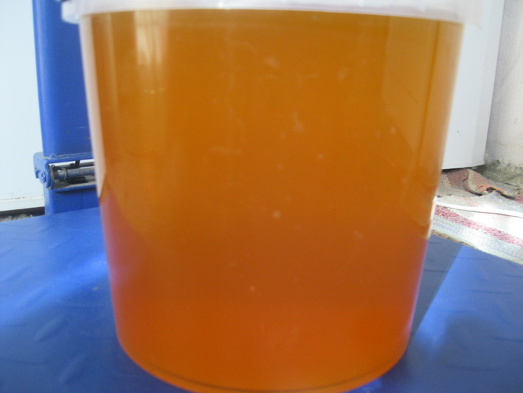 Мёд 4.5 кг. Разнотравье.(5), фото №4