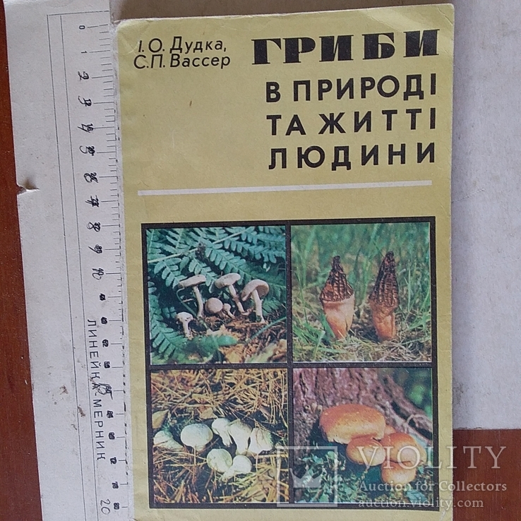 Дудка "Гриби в природі та житті людини" 1980р.