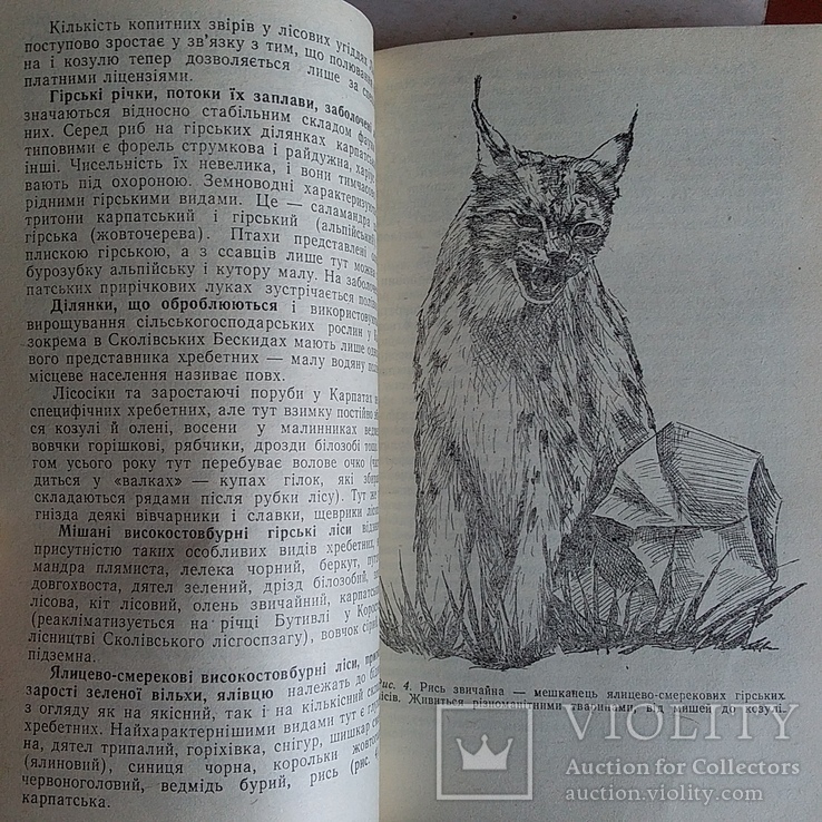 Квасниця "Історико-природничі нариси з краєзнавства Львівська область" 1994р., фото №4