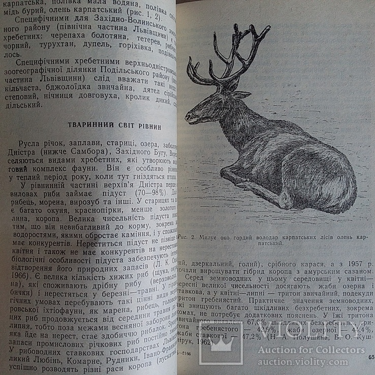 Квасниця "Історико-природничі нариси з краєзнавства Львівська область" 1994р., фото №5