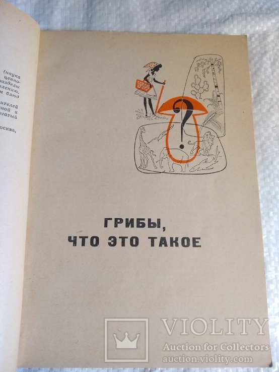 Грибы Б.Андрест 1968г., фото №10