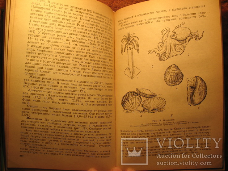 Товароведение мясо-рыбных и гастрономических товаров 1976г, фото №10