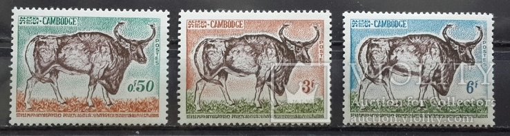 Камбоджа. Фауна. 1964 год., фото №2