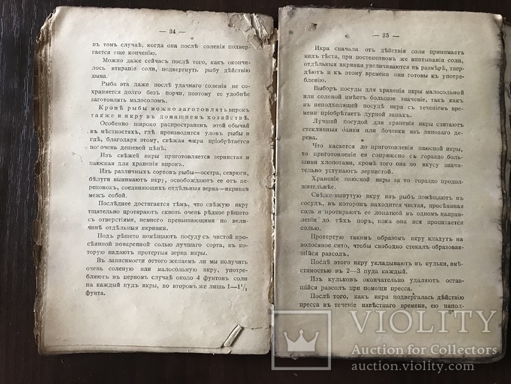 1902 Консервы в домашнем хозяйстве, фото №4