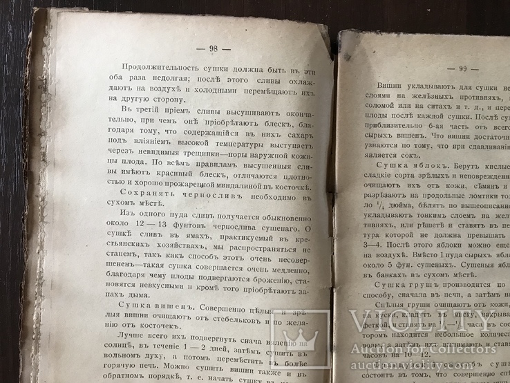 1902 Консервы в домашнем хозяйстве, фото №7