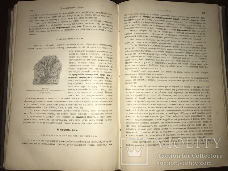 1905 Общая патологическая Анатомия, фото №8