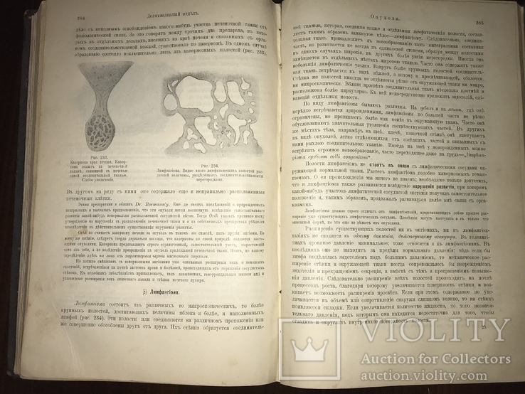 1905 Общая патологическая Анатомия, фото №9